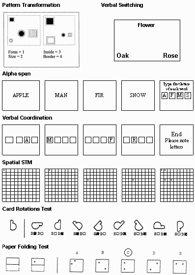 Samples of WM Task and Mental Ability Tests